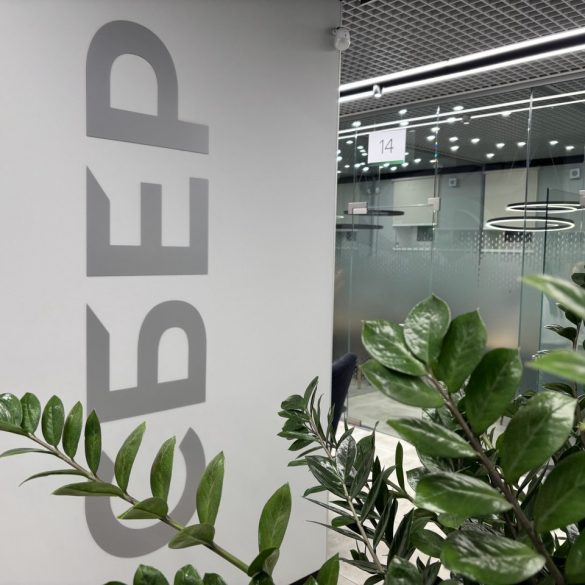 Сбер зафиксировал 23% рост интереса к вкладам у жителей Северо-Запада в 2025 году.